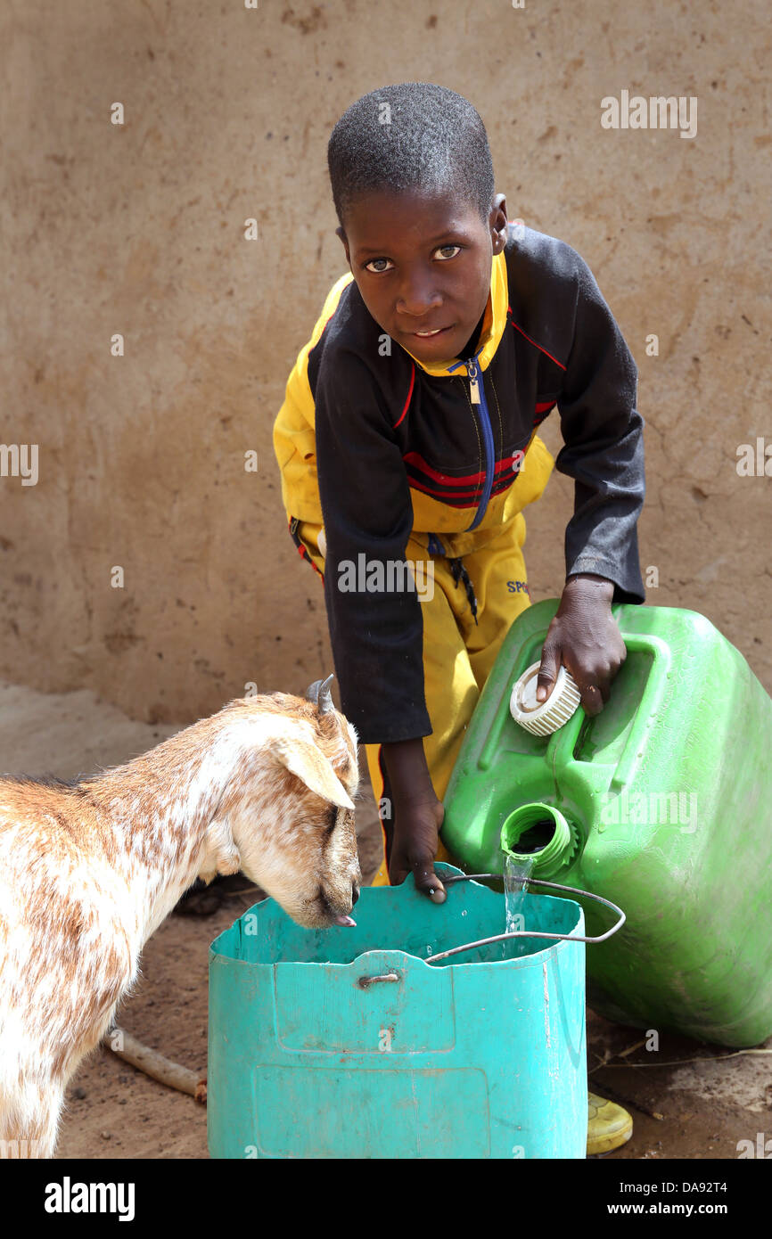 Ragazzo abbeveraggio degli animali. Villaggio del Burkina Faso, Africa occidentale Foto Stock