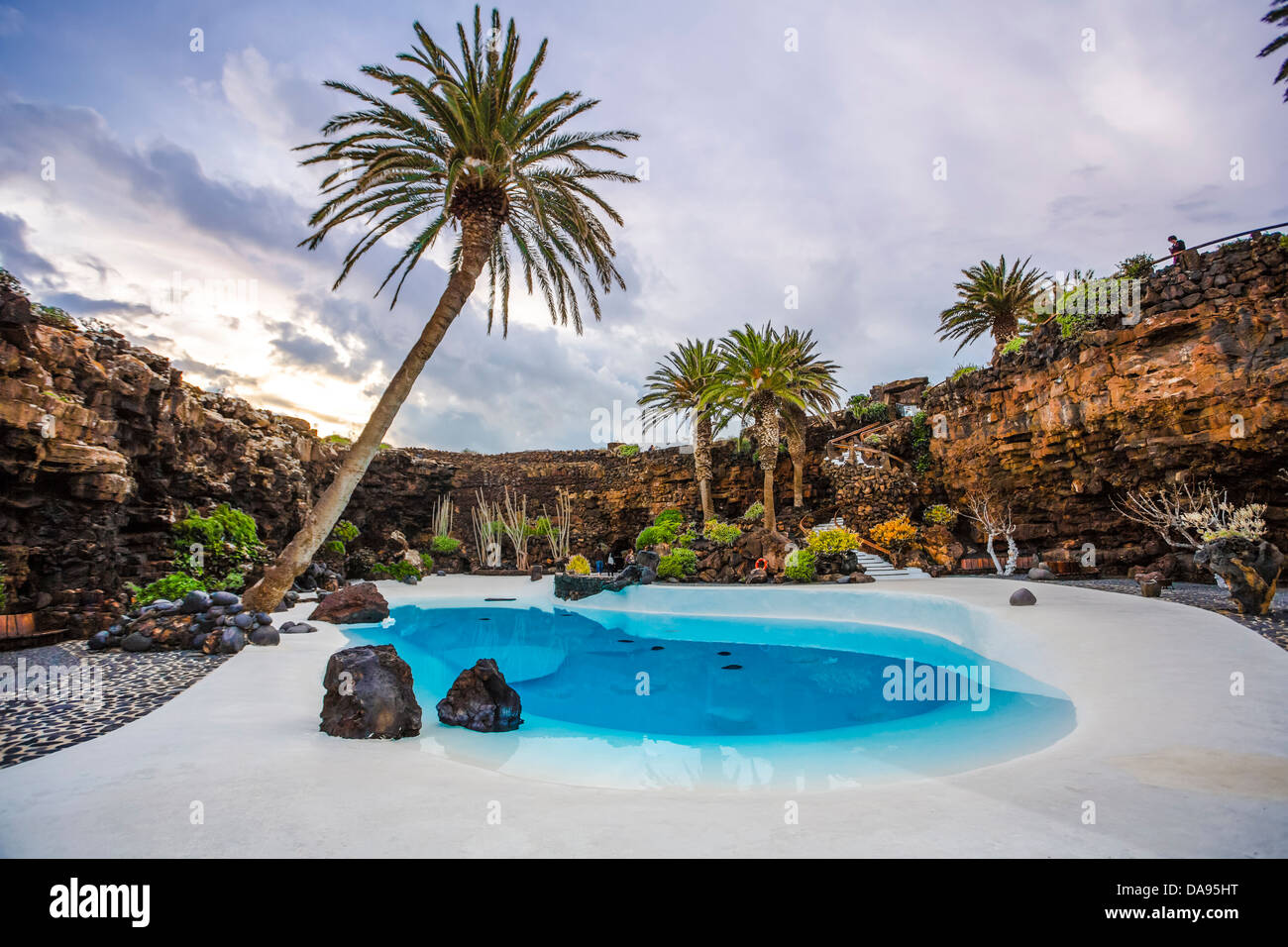 Spagna, Europa, Isole Canarie, Jameos del Agua, Lanzarote, blu, cactus, piante, cafe, grotta, Cesar Manrique, contrasto, esotico, f Foto Stock