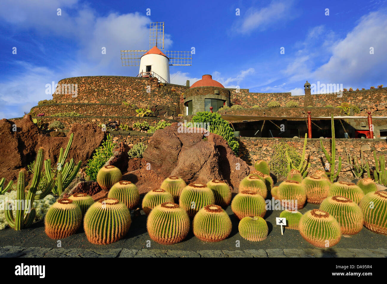 Spagna, Europa, Isole Canarie, Guatiza, Lanzarote, cactus, piante, giardino, isola, tramonto, mulino a vento Foto Stock