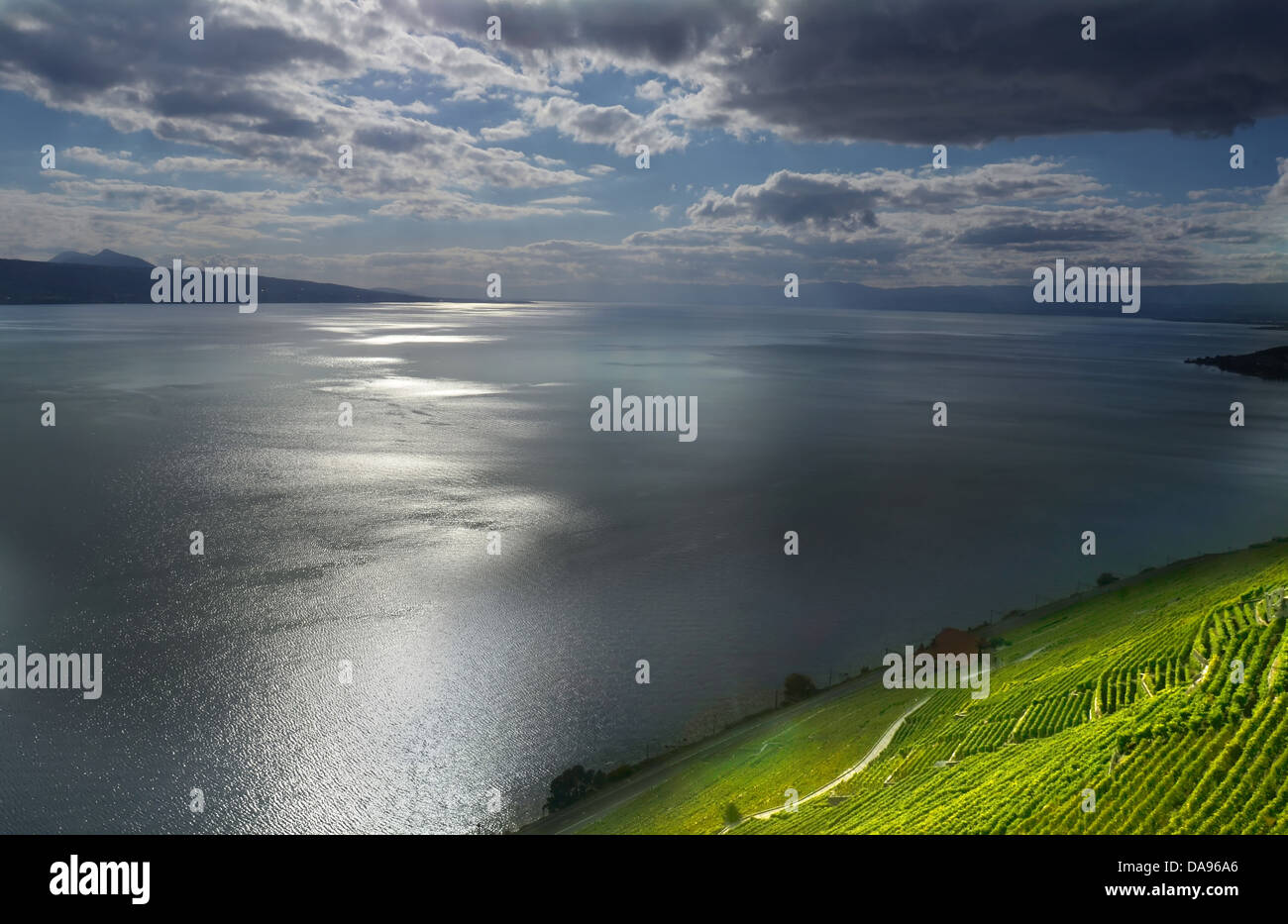 Il sole illumina i vigneti dal Lago di Ginevra in Svizzera, sull'UNESCO di cui costa del Lavaux Foto Stock