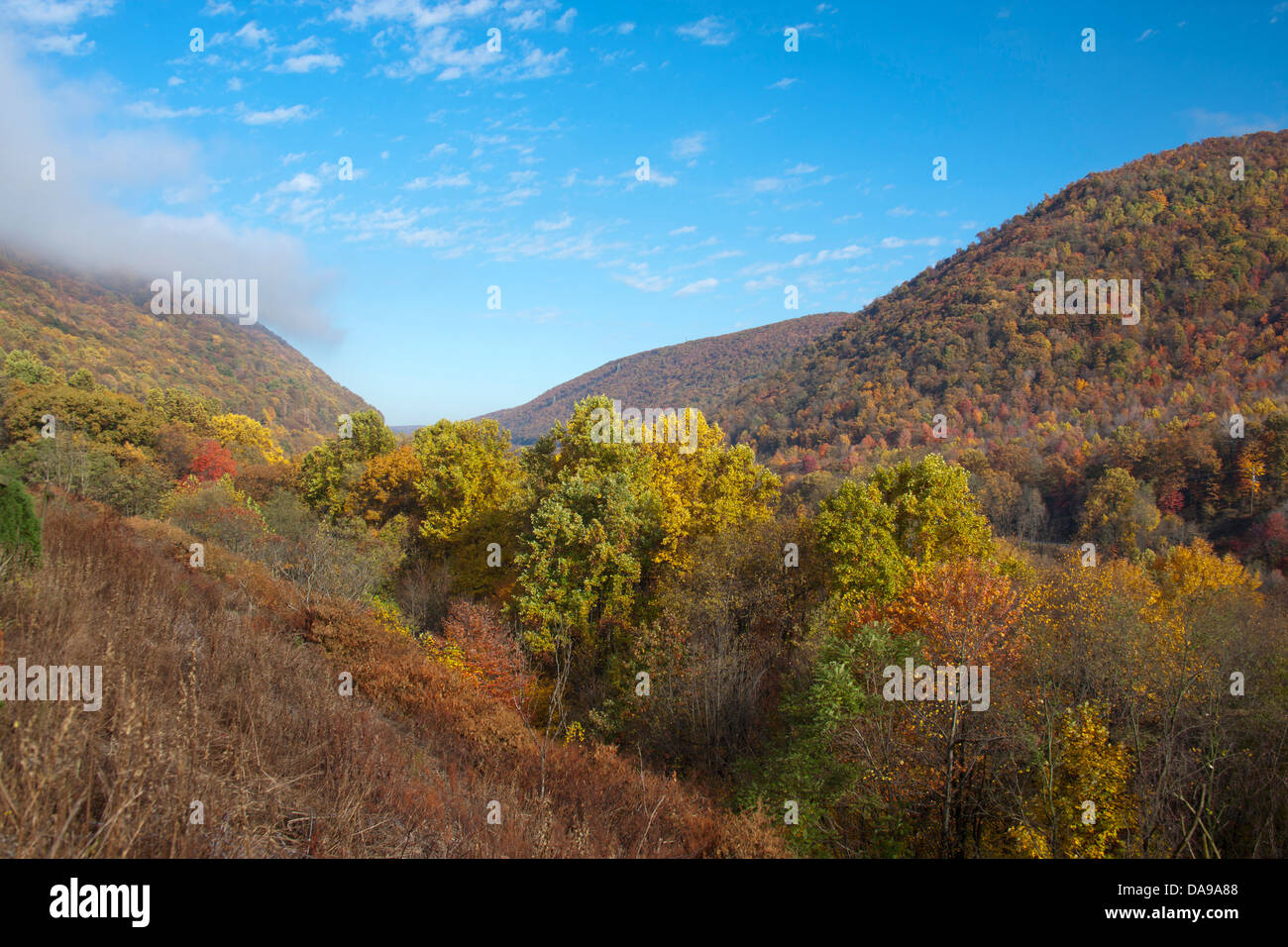 Caduta delle Foglie CONEMAUGH GAP JOHNSTOWN PENNSYLVANIA USA Foto Stock