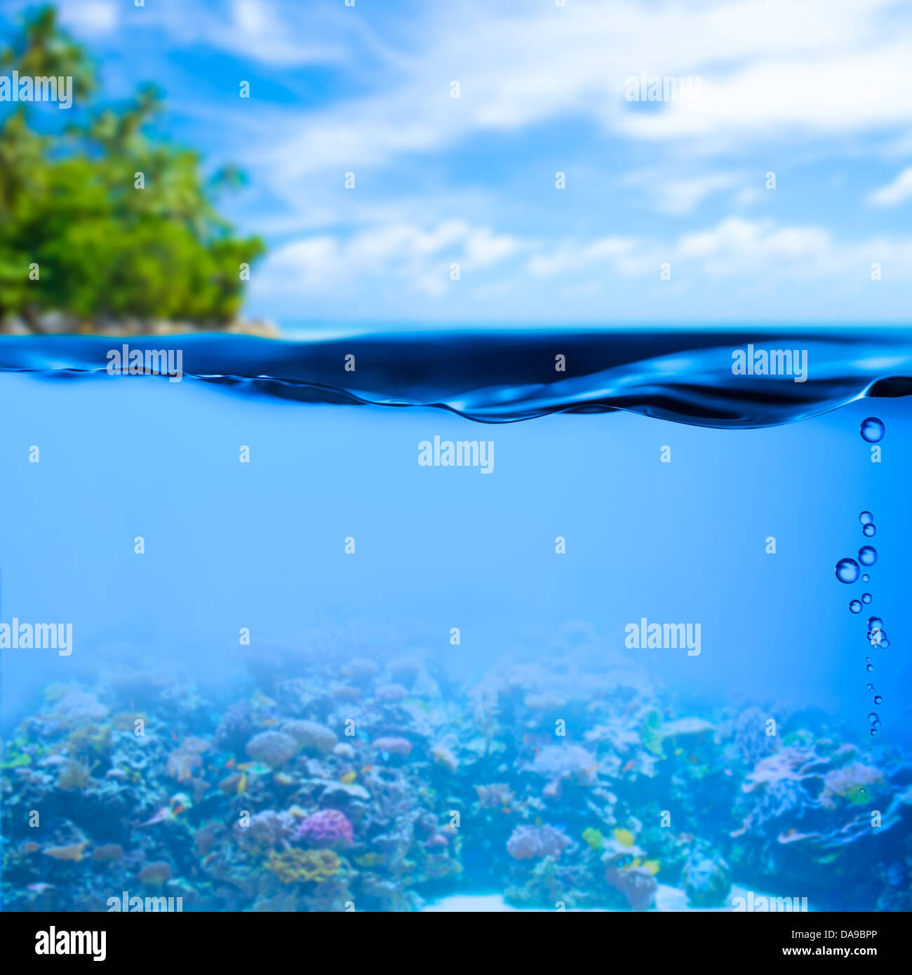 Subacquea mare tropicale con acqua sullo sfondo di superficie Foto Stock