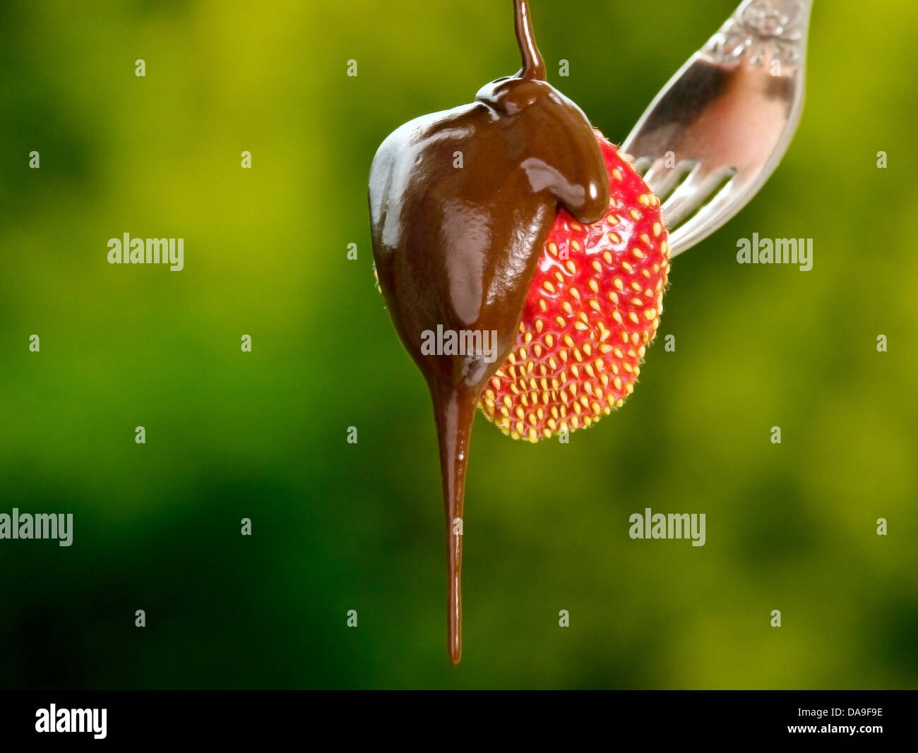 Rosso fragola con cioccolato sulla natura verde sullo sfondo Foto Stock