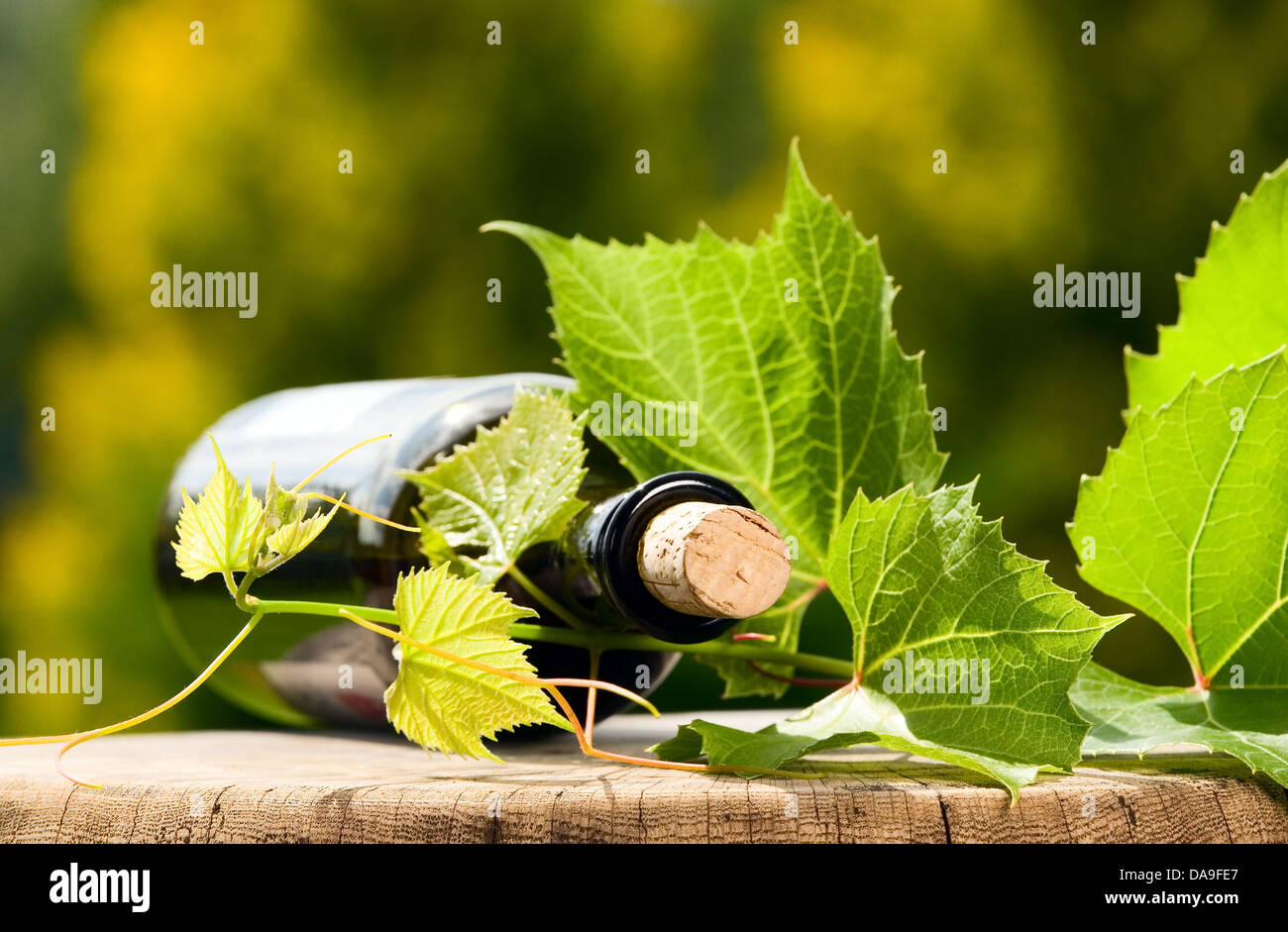 Bottiglia di vino con legno e sughero grosse foglie intorno Foto Stock