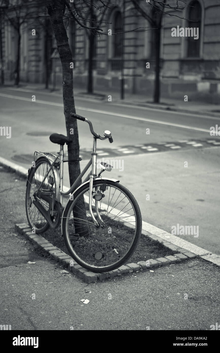 Vecchia bicicletta appoggiata sulla struttura ad albero street, in bianco e nero in stile vintage immagine. Foto Stock