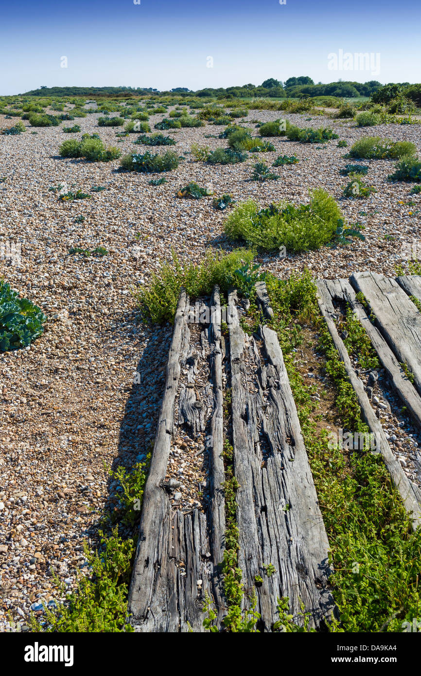 Parte della pavimentazione in legno chiesa Norton West Sussex England Foto Stock Parte della pavimentazione in legno chiesa Norton West Sussex England Foto Stock