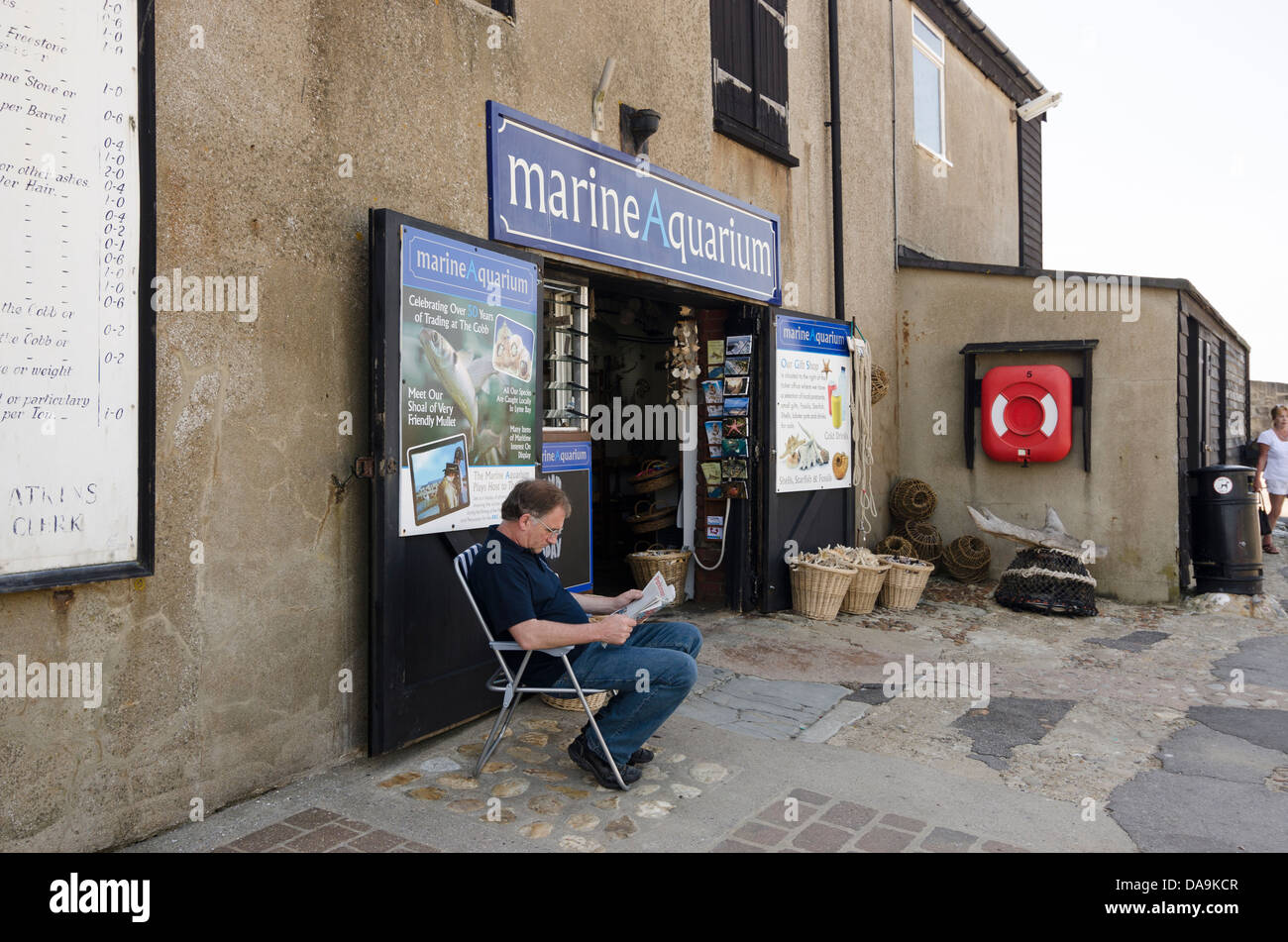 Acquario marino La Cob Lyme Regis Doset REGNO UNITO Foto Stock