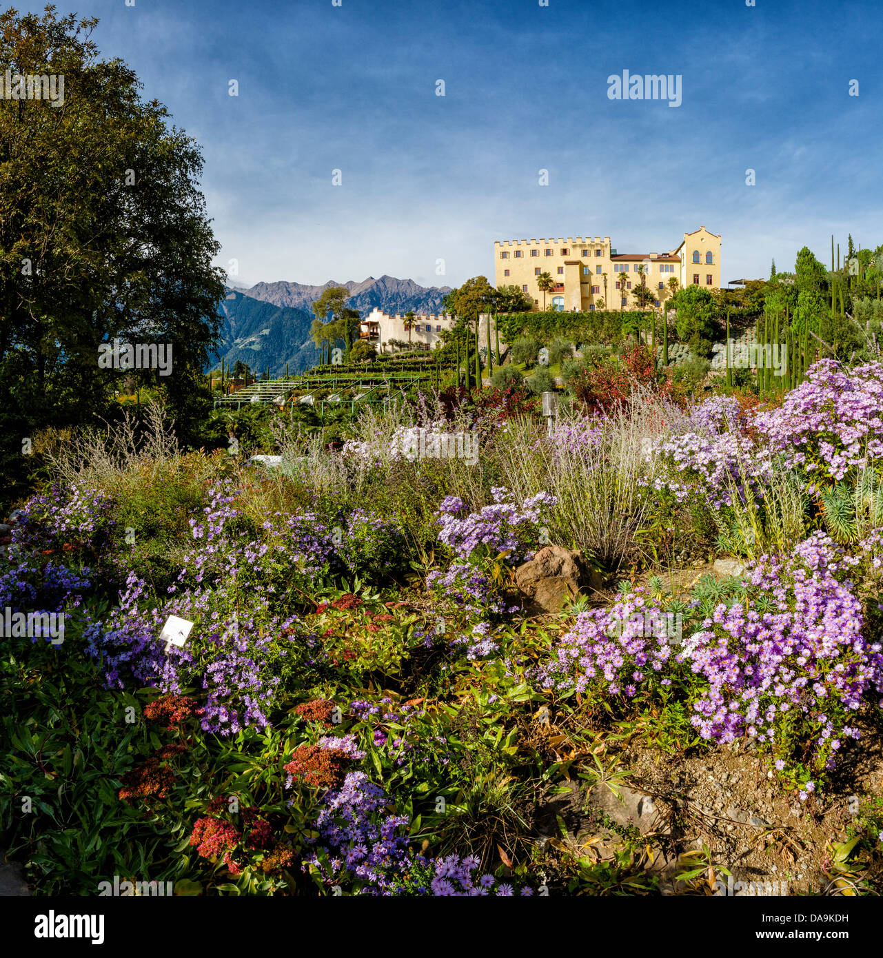 L'Italia, Europa, Südtirol Alto Adige, Alto Adige, Alto Adige, Merano, Merano, Trauttmansdorf, giardino, Castello, fiori, autunno, m Foto Stock