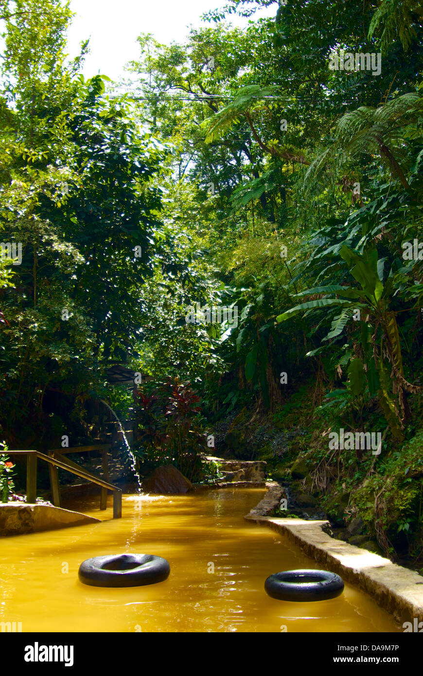 Dominica, Caraibi, acqua calda naturale piscina Foto Stock
