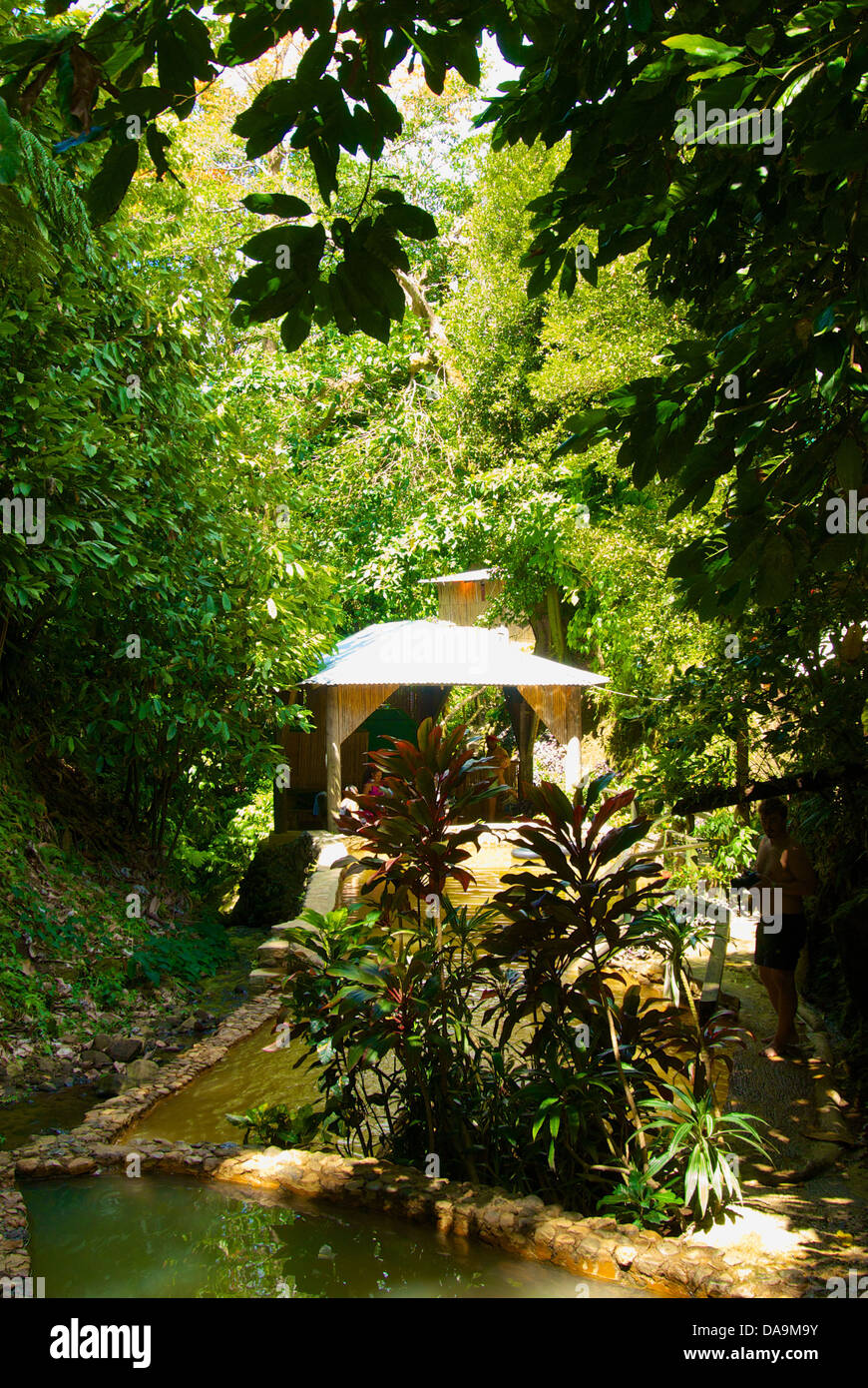 Trafalgar Falls, Dominica, Caraibi, acqua calda naturale piscina Foto Stock
