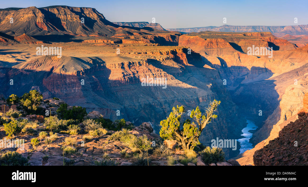 Sunrise al Grand Canyon N.P North Rim con la vista dal Toroweap, Arizona, Stati Uniti d'America Foto Stock