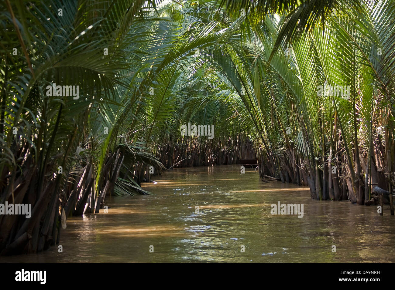 Asia, possono, sul fiume Mekong Delta, sud-est asiatico, Tho, Can Tho, canal, Vietnam, acqua Foto Stock