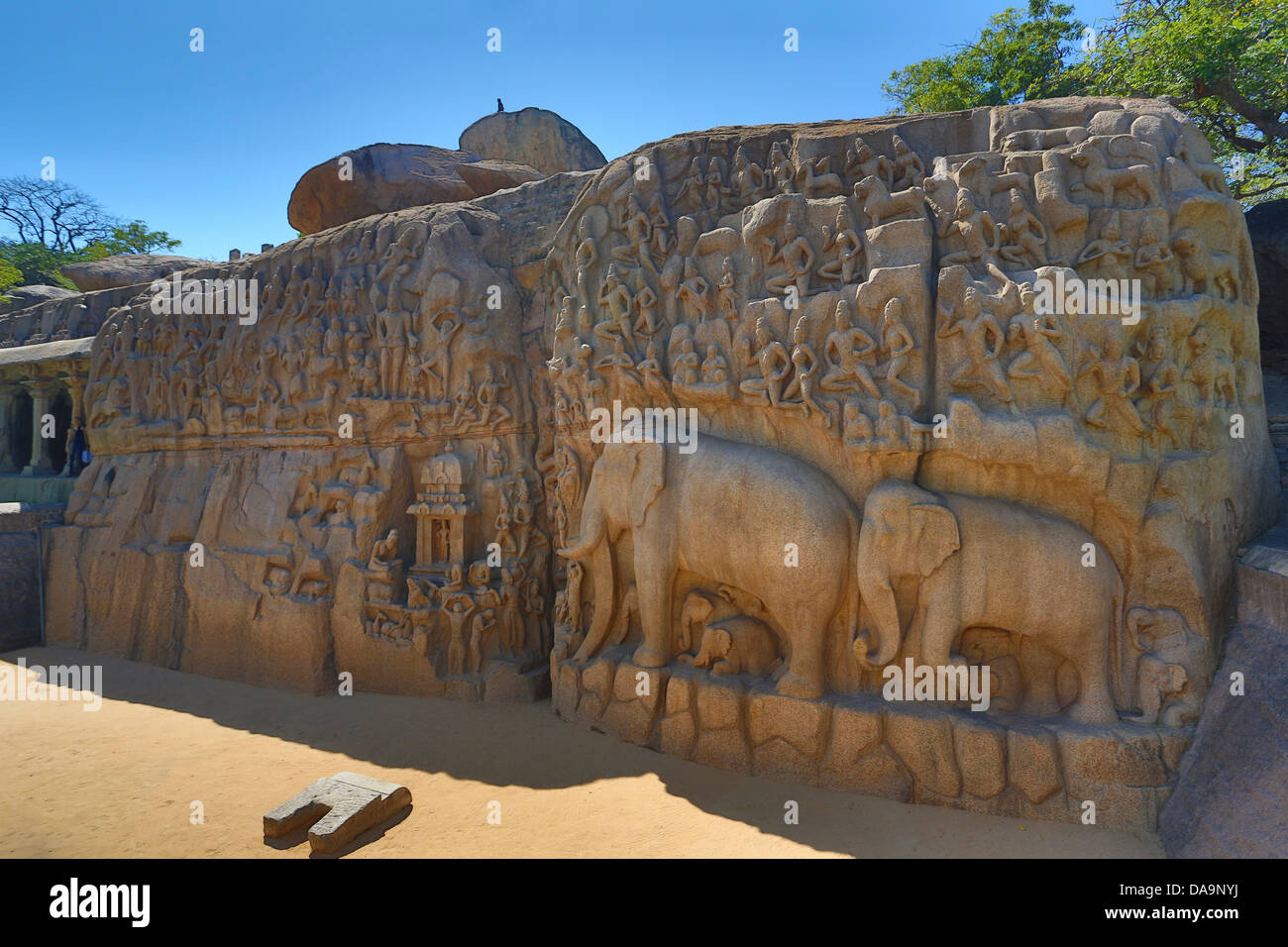 India India del Sud, Asia, Tamil Nadu, Mamallapuram, Mahabalipuram, Rock-cut, architettura, Ajuna la penitenza, patrimonio mondiale, Ajun Foto Stock