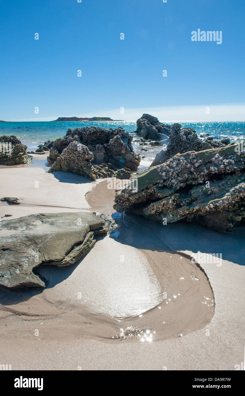 Rocce e gusci di cozze alla sabbiosa spiaggia orientale di Cape Leveque, Dampier Peninsula, Kimberley, Australia occidentale Foto Stock