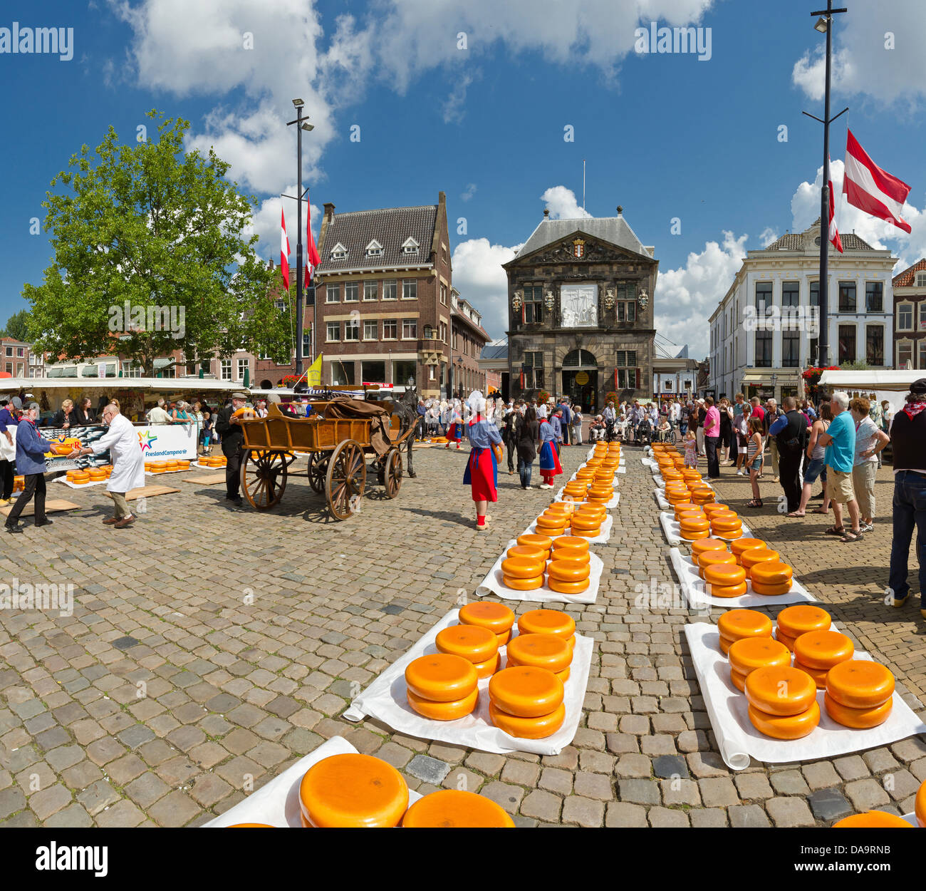 Paesi Bassi, Olanda, Europa, Gouda, formaggio, tradizione, mercato, città, villaggio, estate, persone, a cavallo e in carrozza, Foto Stock