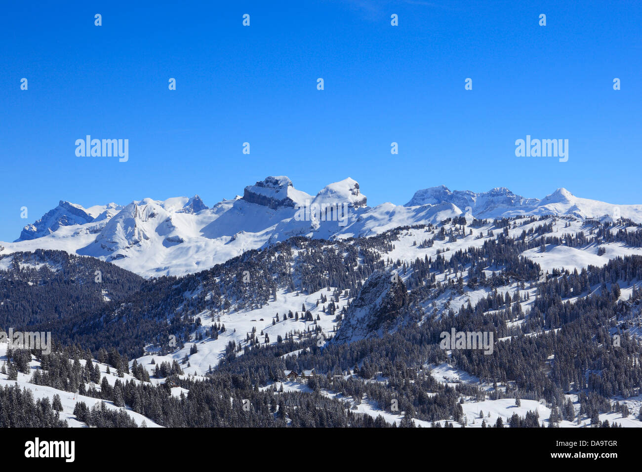 Alpi, Alpino ghirlanda, Alpine, panorama, vista montagna, montagne, alberi, abete rosso, abeti rossi, montagne, i vertici, picchi, Swi centrale Foto Stock