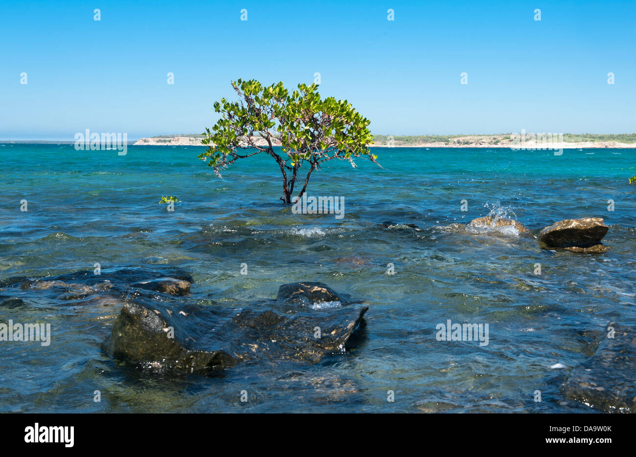 Rocky baia con spiaggia di sabbia e mangrovie velme in corrispondenza di un punto del braccio, Cape Leveque, Dampier Peninsula, Kimberley Foto Stock
