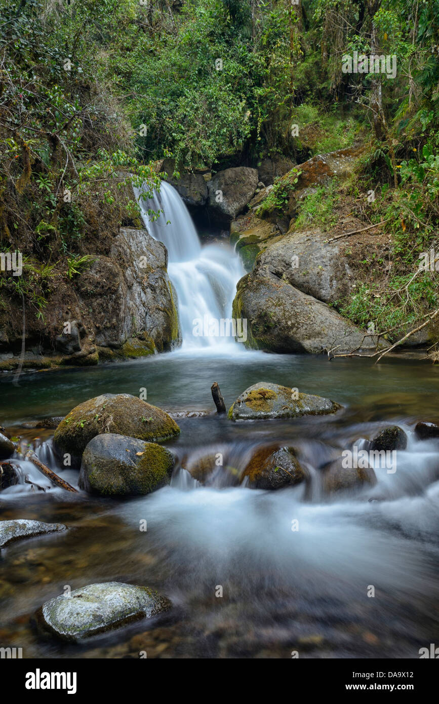 America centrale, Costa Rica, San Gerardo de Dota, cloud forest, rovere, foresta, giungla, Trogon Lodge, cascata, acqua, San Jose, Foto Stock