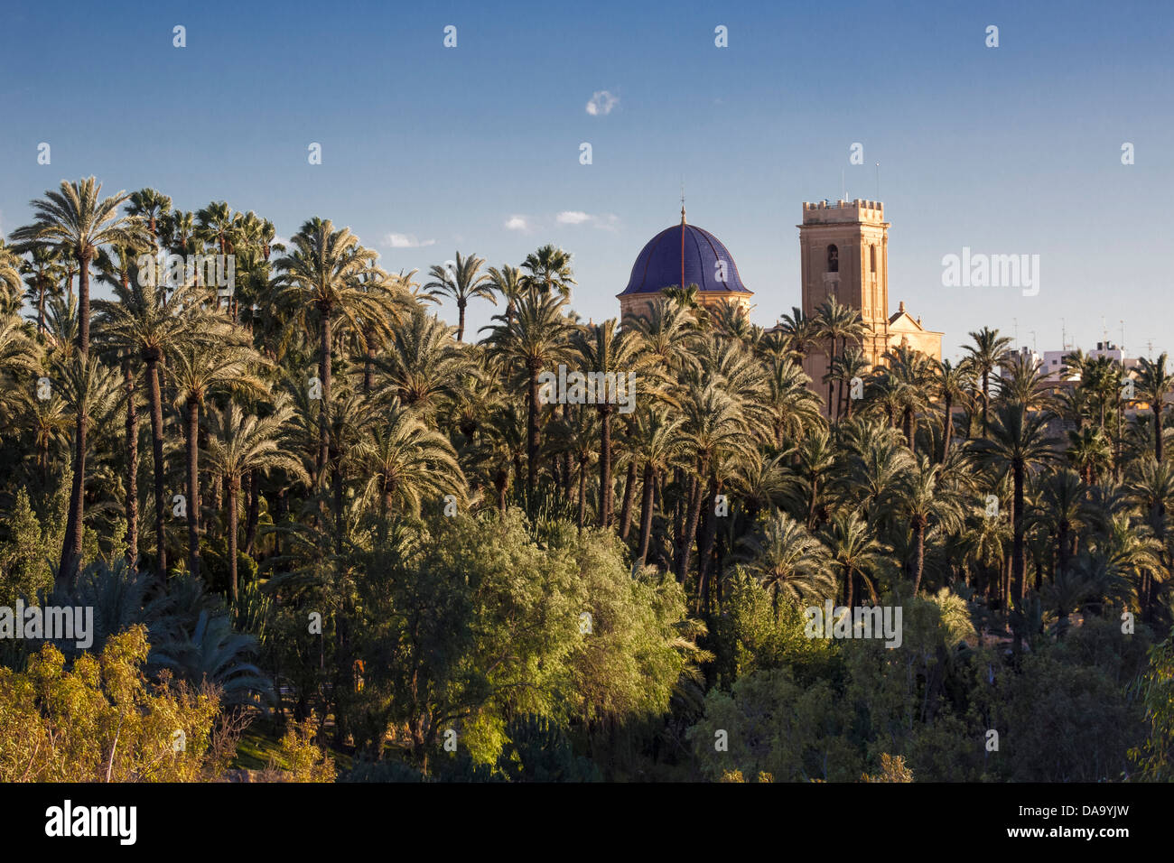 Spagna, Europa, regione di Valencia, Provincia di Alicante, Belfry, la chiesa, Elche, famosa, giardini, palm, turistica, alberi, Unesco World Foto Stock