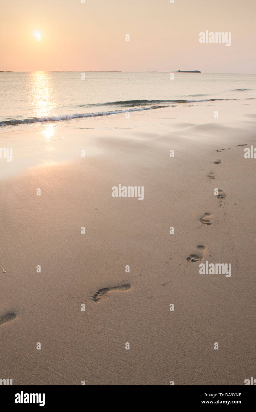 Orme su una spiaggia a piedi dal mare a sunrise. Bamburgh, Northumberland, Inghilterra Foto Stock