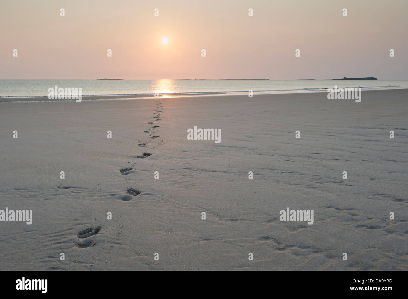 Orme su una spiaggia a piedi verso il mare a sunrise. Bamburgh, Northumberland, Inghilterra Foto Stock