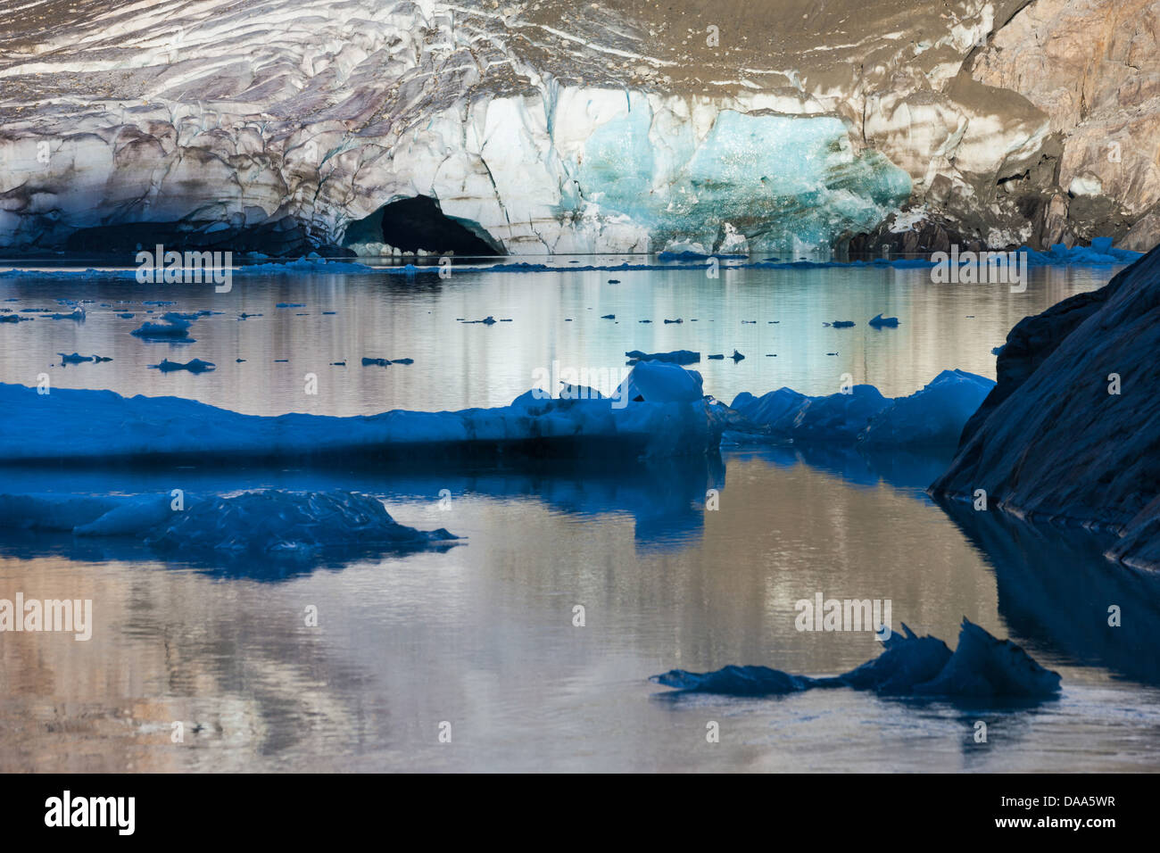 Gauligletscher, Svizzera, Europa, il cantone di Berna Oberland Bernese, Urbachtal, ghiacciaio, lago, lago glaciale, ghiaccio, floes, bocca o Foto Stock