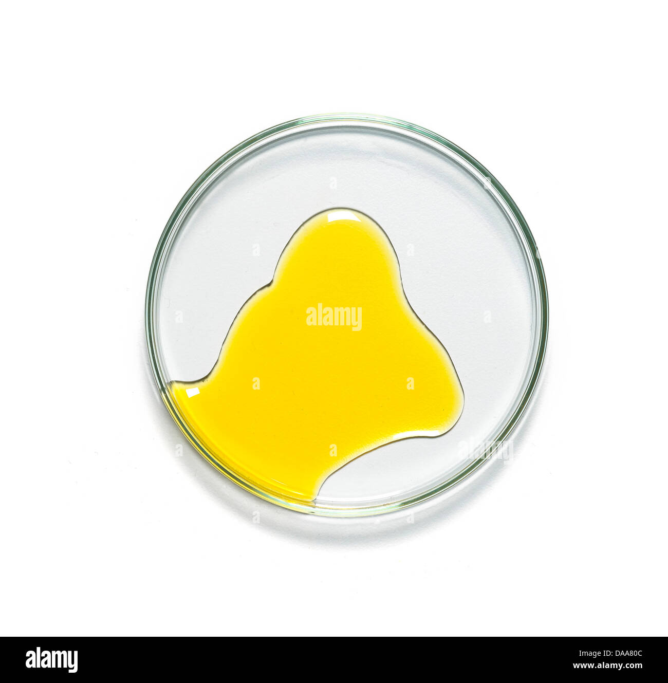 Giallo crema gel olio in petridish ritagliato su uno sfondo bianco Foto Stock