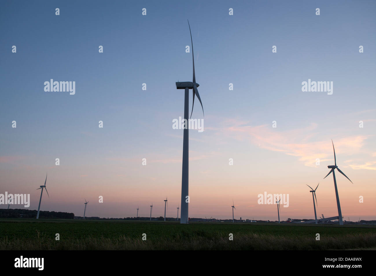 Mulini a vento al crepuscolo a Terneuzen nei Paesi Bassi, Europa Foto Stock