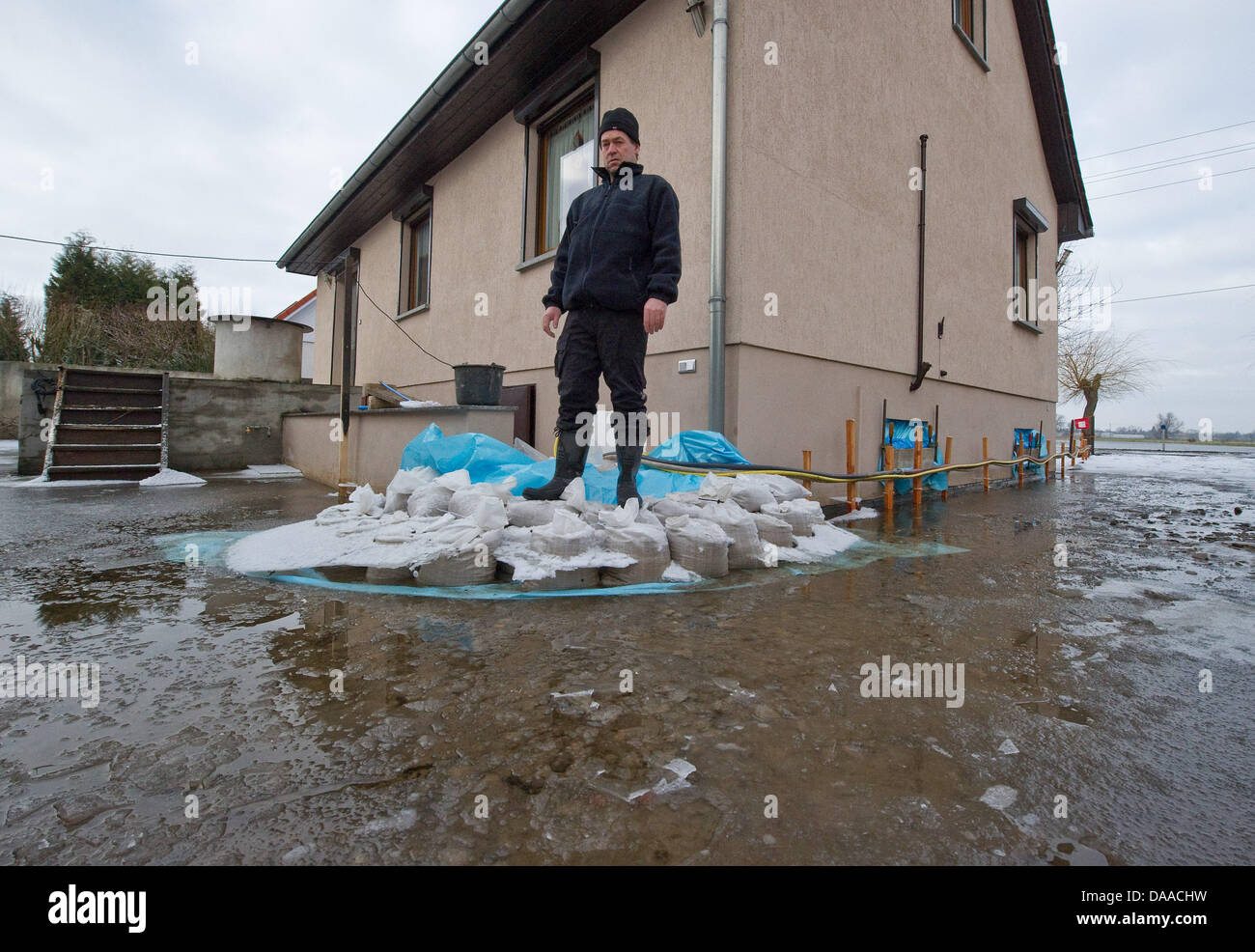 Il proprietario della casa Ruediger Ewald sorge su sacchetti di sabbia davanti alla sua casa allagata durante l'alluvione presso i campi della Manor in Kuestritz-Kietz, Germania, 24 gennaio 2011. La regione di Oderbruch assomiglia ad un paesaggio ricco di laghi, quasi tutte le cantine sono allagate. La gente a restare calmo in questa situazione eccezionale che è stato ora persistenti per mesi. Foto: Patrick Pleul Foto Stock