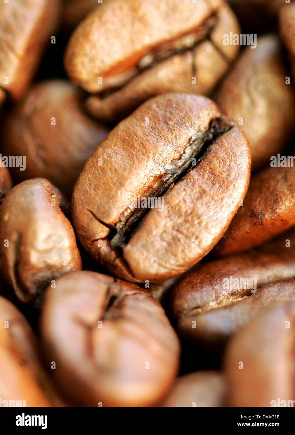 Un file immagine scattata il 21 dicembre 2004 mostra un close-up di chicchi di caffè a Colonia, in Germania. Il prezzo del caffè è in aumento. I tedeschi dovranno pagare di più per il loro drink preferito. Più catena di vendita al dettaglio negozi stanno aumentando il loro i prezzi del caffè allo stesso tempo. Foto: Rolf Vennenbernd Foto Stock