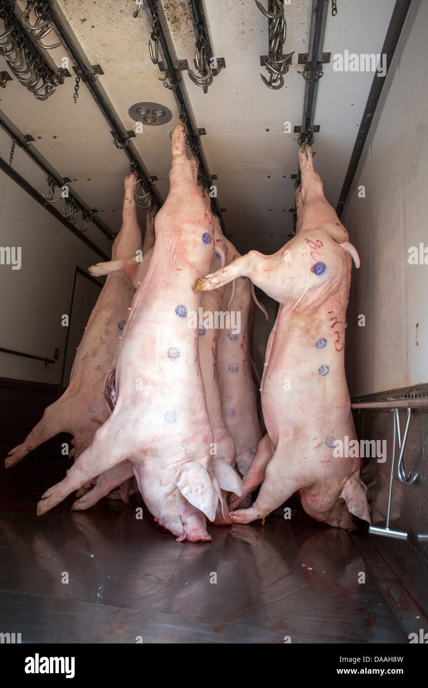 Hong Kong, Cina, Asia, Città, suini, consegna, carcassa, carne, trasporti Foto Stock