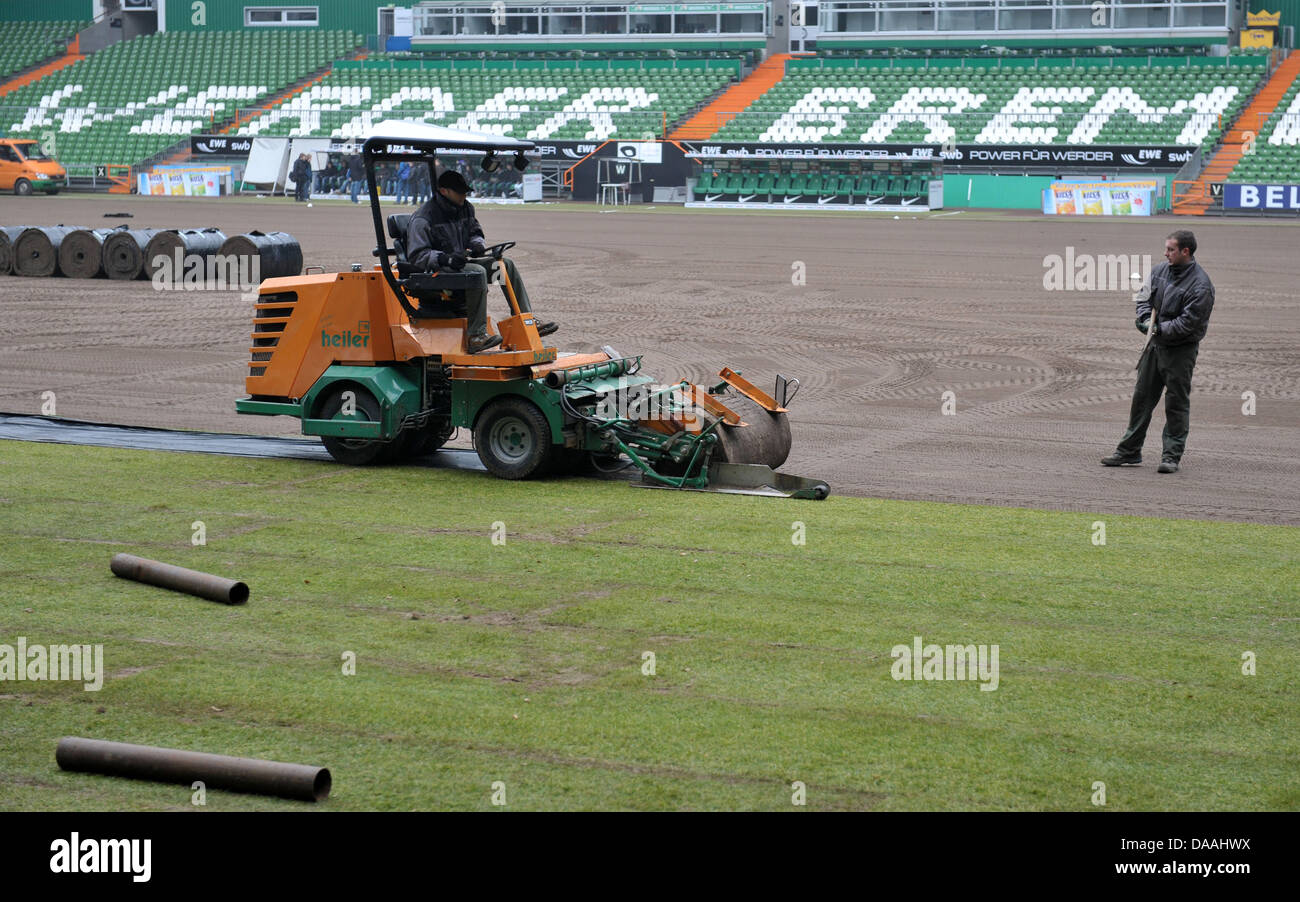 Sod prato è re-posati a il Weserstadion della Bundesliga club di calcio del Werder Brema in Bremen, Germania, 02 febbraio 2011. Dopo quasi undici mesi, il prato hanno dovuto essere nuovamente rinnovato. Foto: Carmen Jaspersen Foto Stock