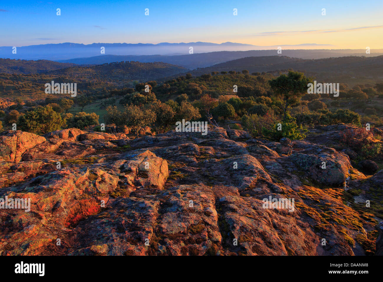 Andalusia, albero, montagne, alberi, Cliff, rock, Cliff, montagne, treno di montagna di mattina, Atmosfera mattutina, Parco nazionale Sierra d Foto Stock