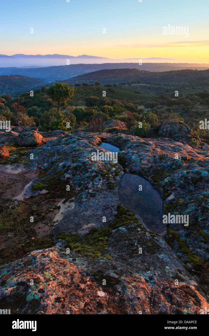 Andalusia, albero, montagne, alberi, Cliff, rock, Cliff, montagne, treno di montagna di mattina, Atmosfera mattutina, Parco nazionale Sierra d Foto Stock