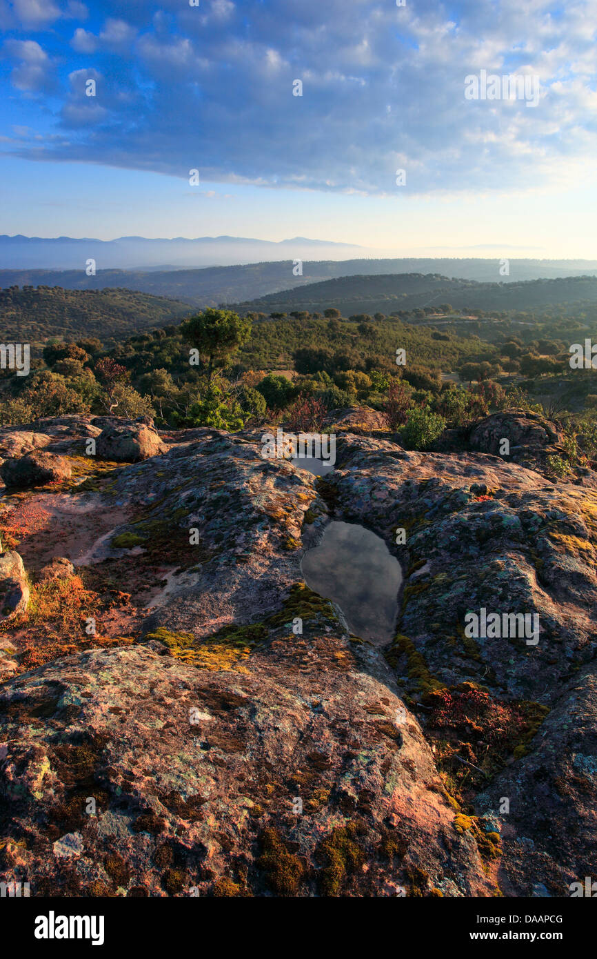 Andalusia, albero, montagne, alberi, Cliff, rock, Cliff, montagne, treno di montagna di mattina, Atmosfera mattutina, Parco nazionale Sierra d Foto Stock