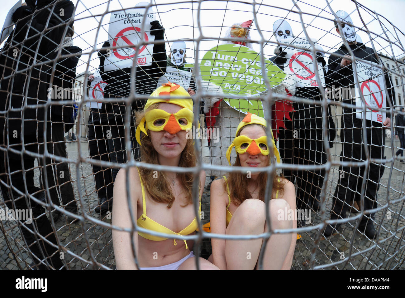 PETA attivisti protestano contro la coltivazione di Berlino, Germania, 21 gennaio 2011. Foto: Annibale Foto Stock