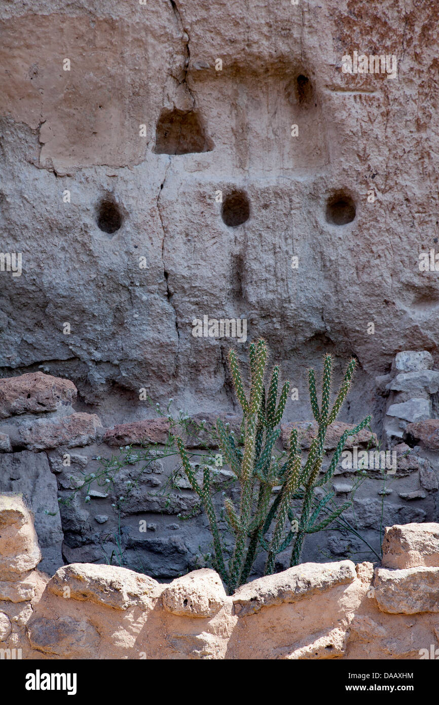 Dettaglio della casa lunga, una scogliera preistorica abitazione in Frijoles Canyon in Bandelier National Monument, Nuovo Messico. Foto Stock