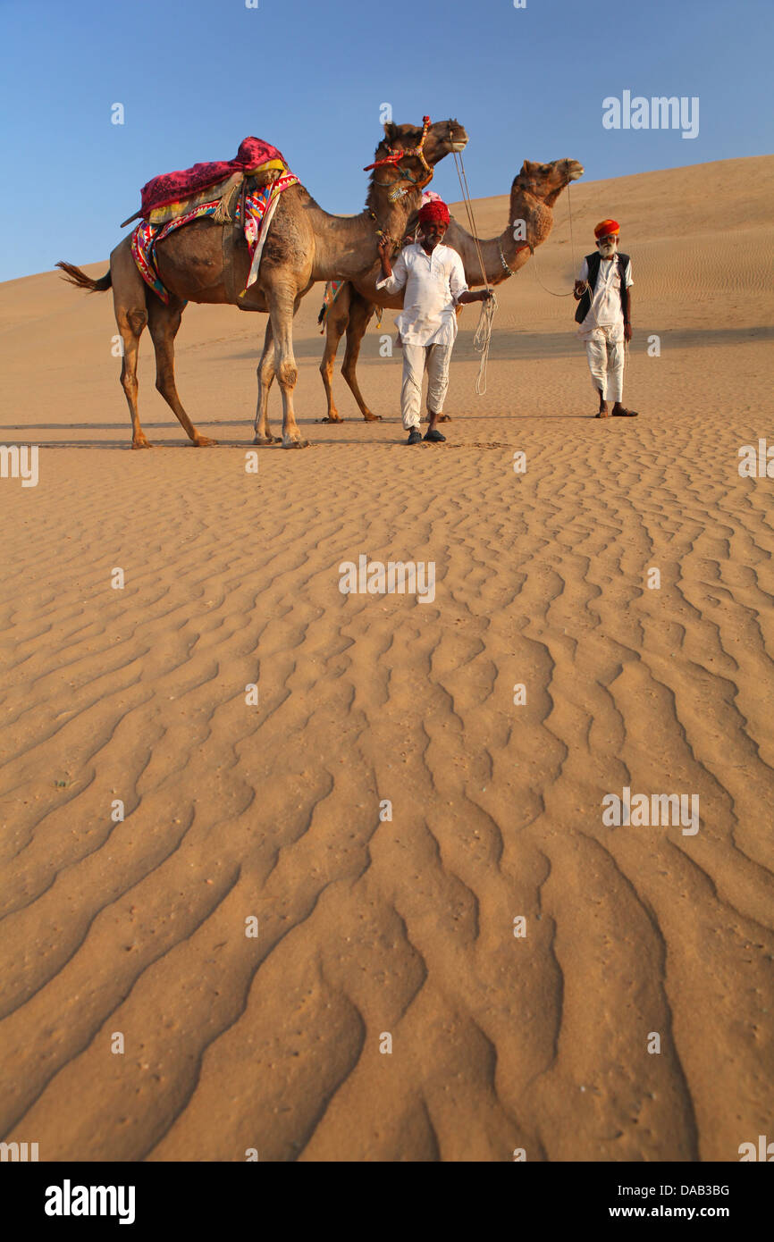 Cammelli, camel, equitazione, deserto di sabbia, dune di sabbia, Turbante, beduino, Khimsar, Thar, deserto Khimsar, dune di sabbia, India, Asia, Rajast Foto Stock
