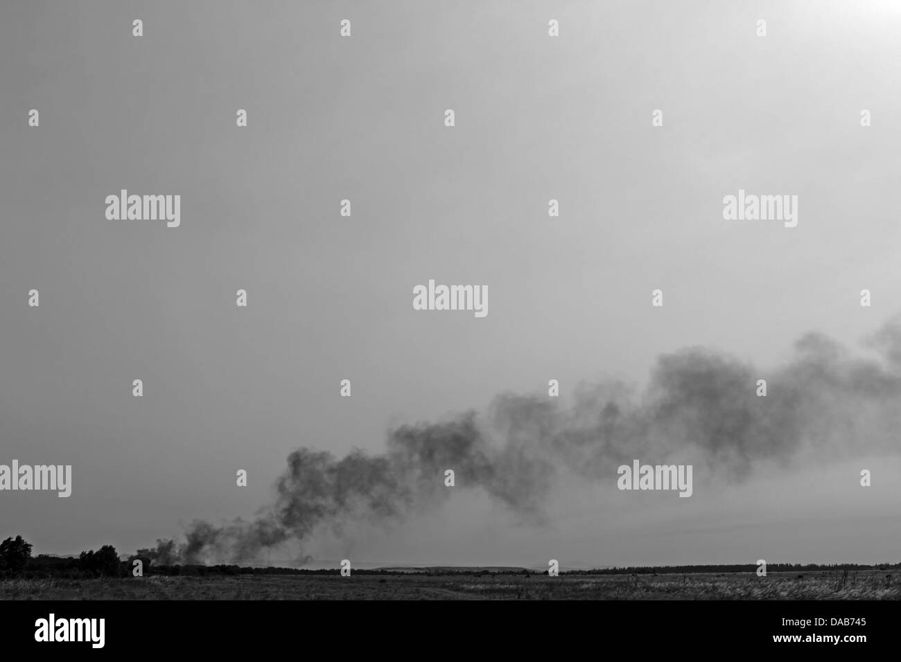 Degli incendi di foreste in Francia Foto Stock