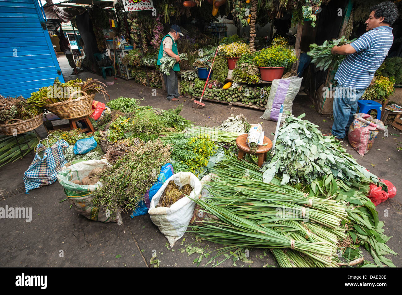 Erbe aromatiche spezie vegetali vegetali verdi stallo stand shop shopping in centrale locale mercato del mercato a Chiclayo, Perù. Foto Stock