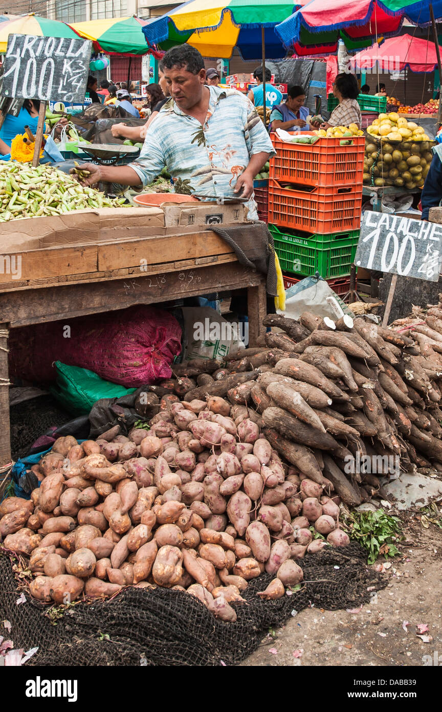 Vegetali fornitore di verdura bancarelle negozi di shopping in centrale locale mercato del mercato a Chiclayo, Perù. Foto Stock
