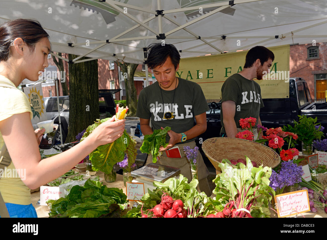 Yalies lavorare come estate stagisti in Yale organico del giardino. Vietnamese American Timothy Le, '14, il centro sinistra e Jackson Blum, '15 Foto Stock