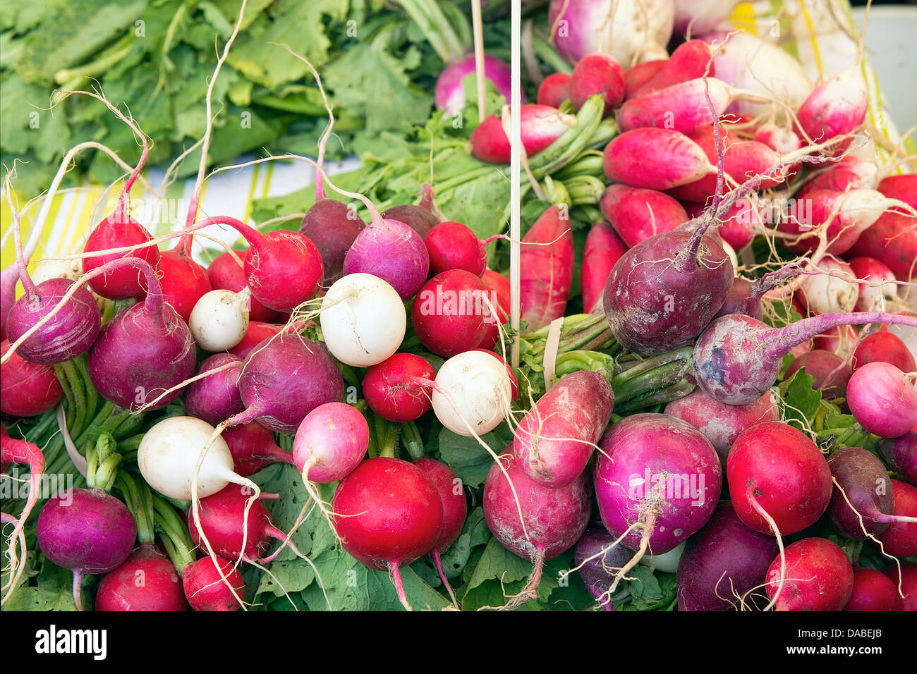 Cimelio di famiglia e uovo di pasqua colorati grappoli di rafano al Mercato degli Agricoltori di frutta e verdura in stallo Foto Stock