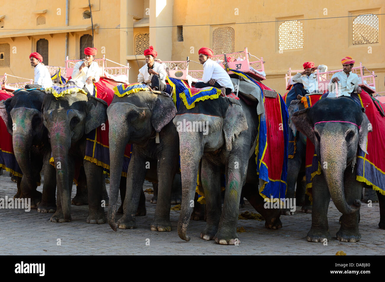 Gli elefanti pronto per tour in Forte Amber, Jaipur, Rajasthan, India, Asia Foto Stock