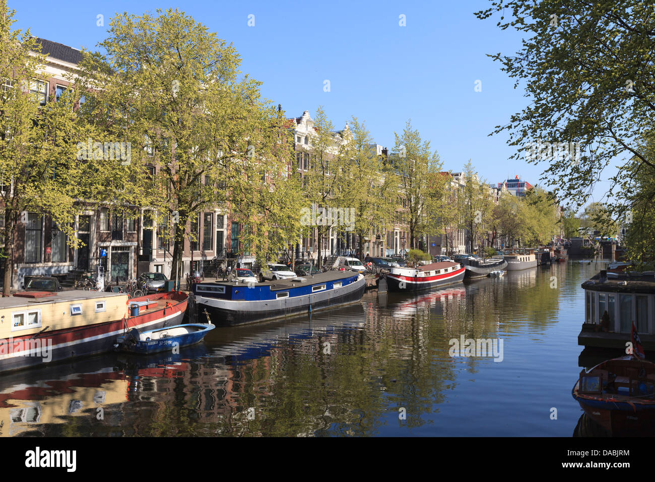 Case galleggianti sul canale Singel, Amsterdam, Paesi Bassi, Europa Foto Stock