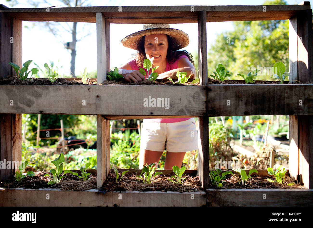 Constantia, Cape Town, Sud Africa. Una signora ripulendo dalle erbacce in un orto biologico. Foto Stock