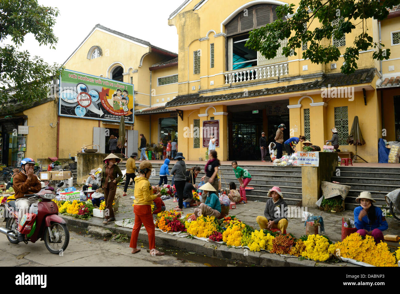 Hoi An, Vietnam, Indocina, Asia sud-orientale, Asia Foto Stock