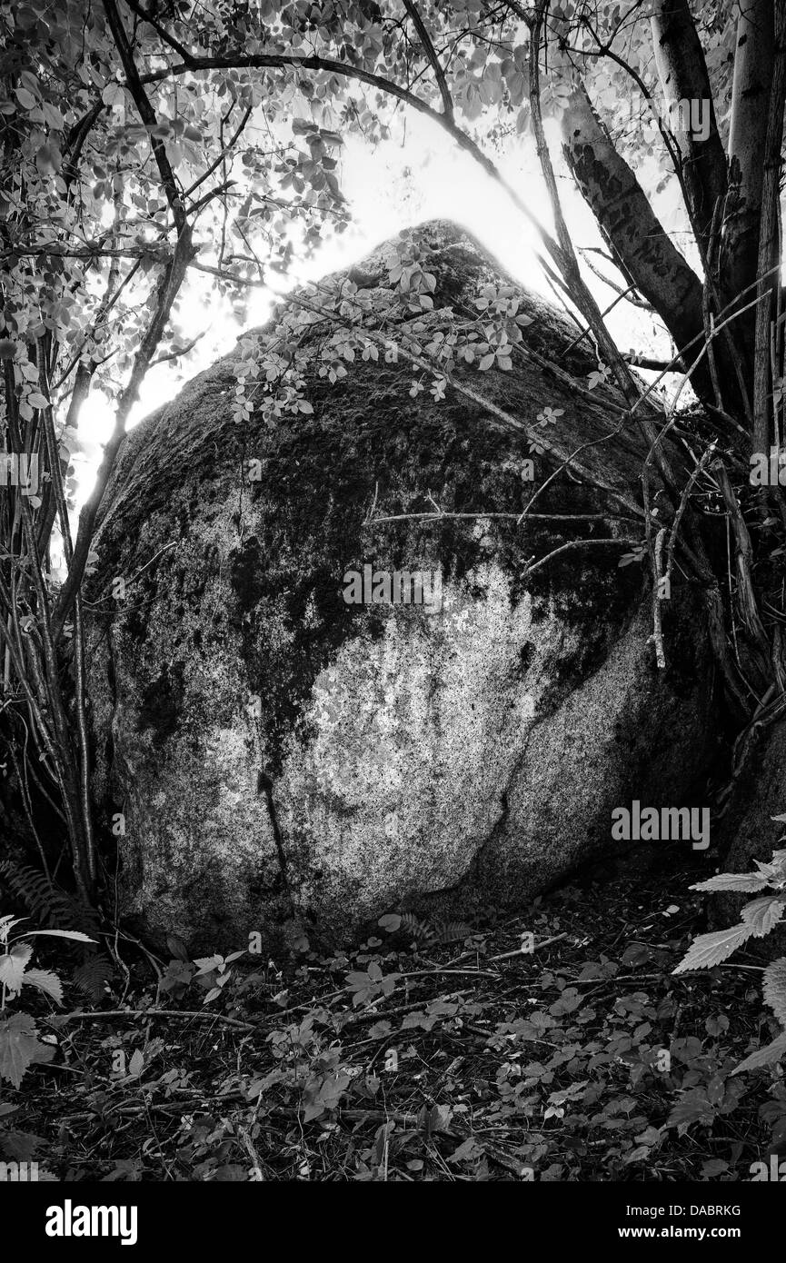 Dolmen. Cevo foresta, Italia Foto Stock