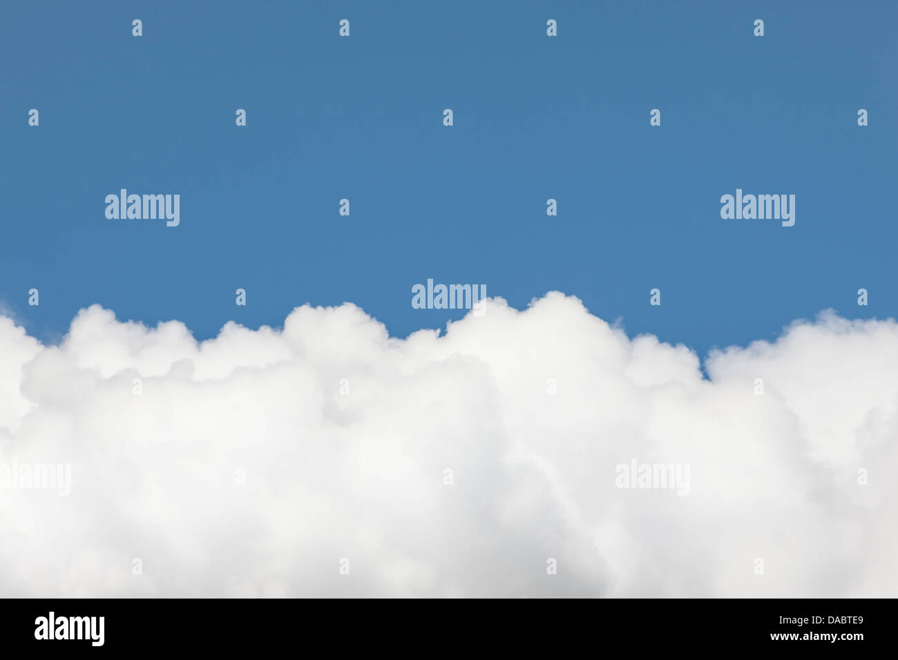 Close-up di un soffice nuvola bianca su un giorno di estate Foto Stock