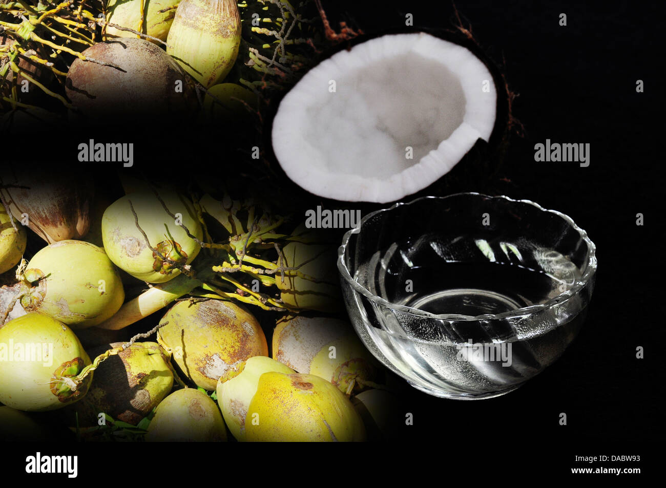 Olio di noce di cocco in una ciotola di vetro. Foto Stock